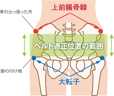 ベルト適正位置の範囲